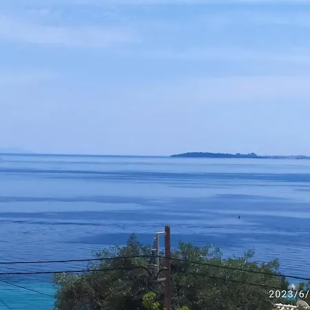 Fiorentina Μπαρμπάτι