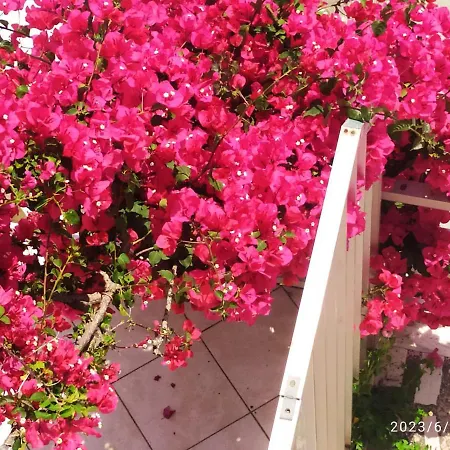 Appartement Fiorentina Barbati